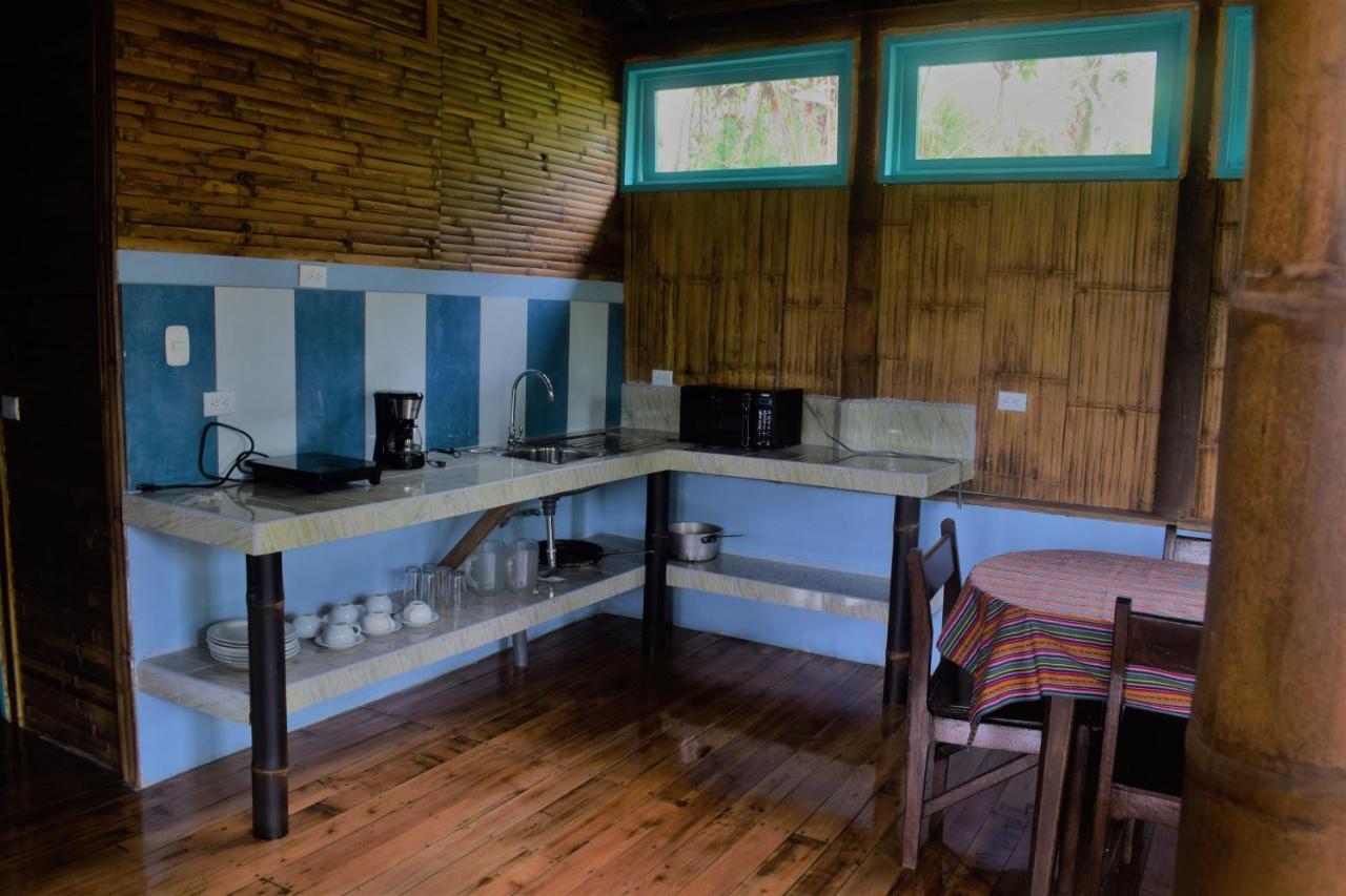 Casa De Bambu Vila Turrialba Exterior foto